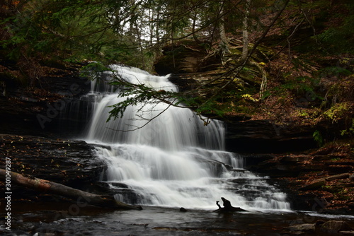 Onondaga Falls