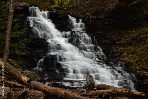 F.L.Ricketts Falls