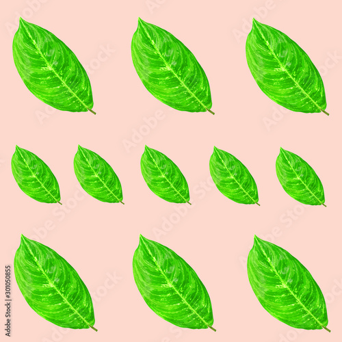 Green leaves pattern for nature concept,tropical leaf on pink background © sirawut
