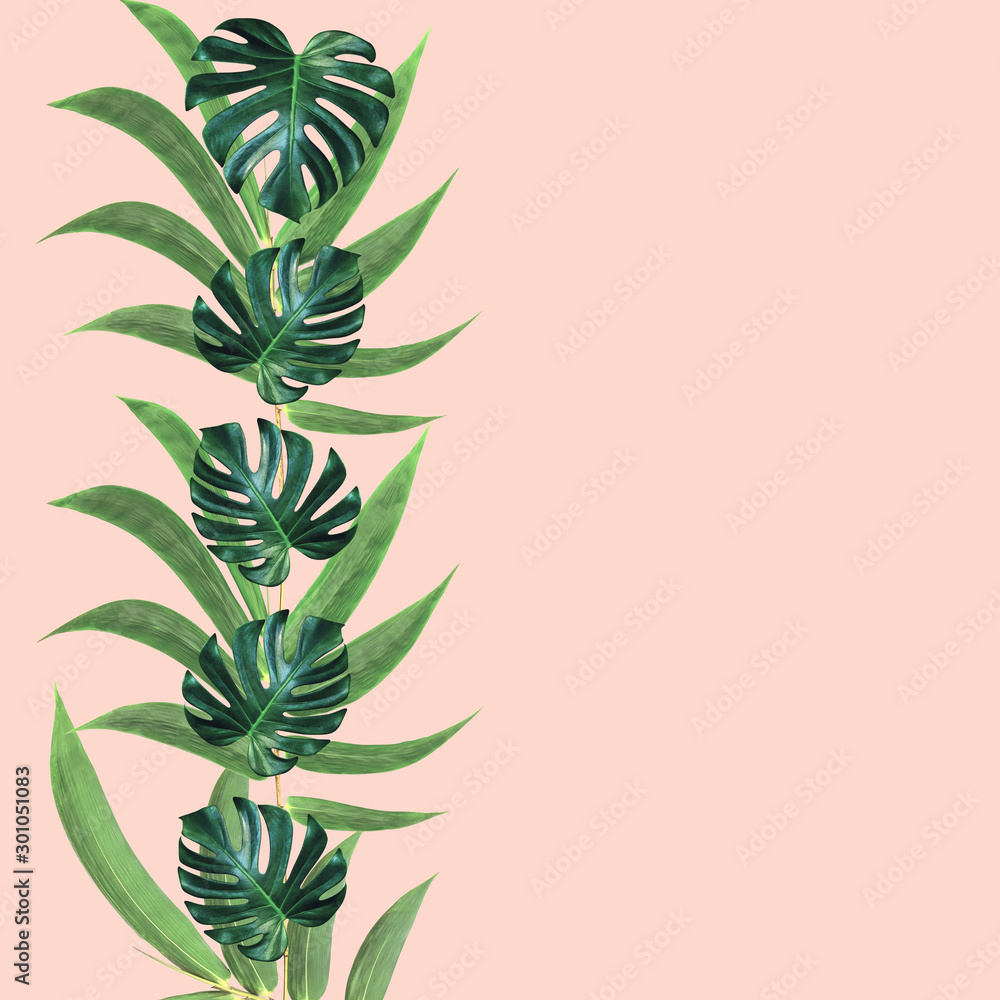 Green monstera and bamboo leaves pattern for nature concept,tropical leaf on pink background Green monstera and bamboo leaves pattern for nature concept,tropical leaf on pink background