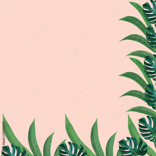 Green monstera and bamboo leaves pattern for nature concept tropical leaf on pink background