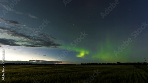 Northern lights dancing across sky near sunset above field in Alberta 4K timelapse