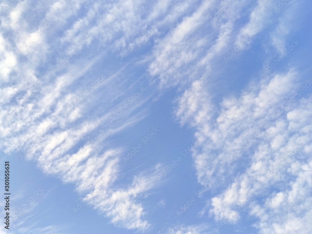 Fototapeta premium 秋の空 はけ雲 鰯雲 鱗雲