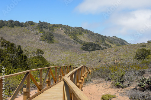 Fray Jorge National Park, Coquimbo Region, Chile