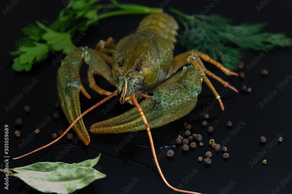 Green crayfish. Preparation for cooking. Green crayfish. Preparation for cooking.