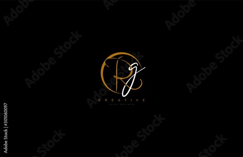 Fotografie Rg letter Stylized Circle Shape Signature Monogram Elegant Logo