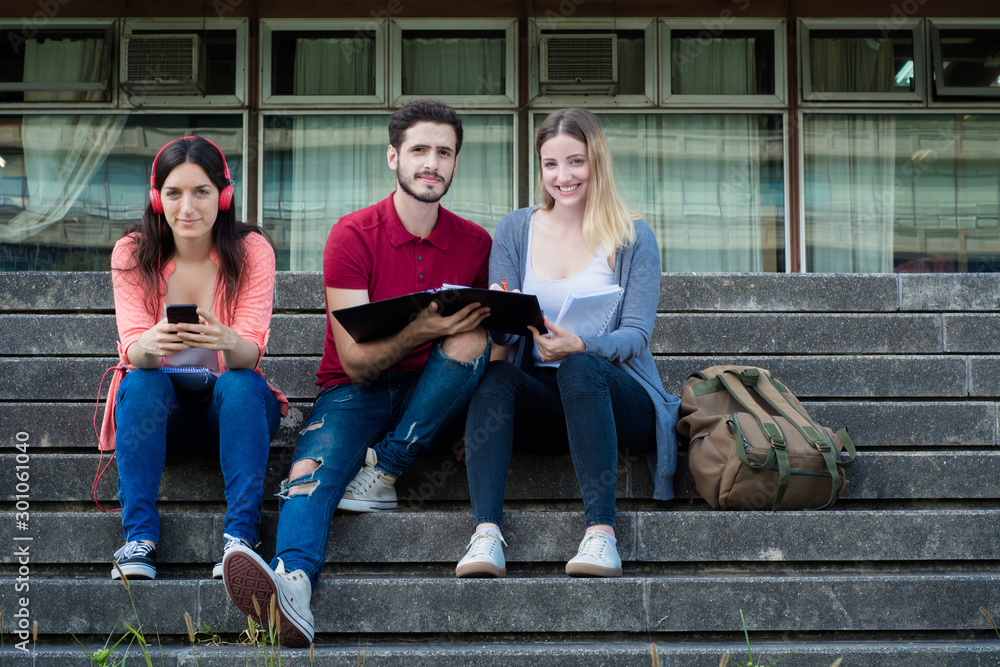 Obraz premium Group of University students studying together outdoors