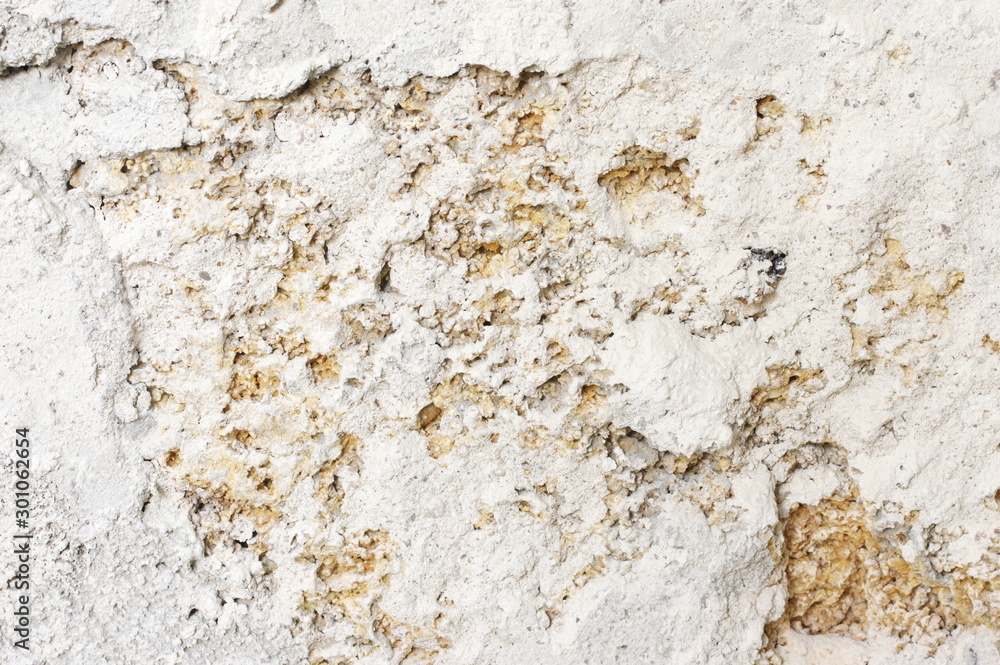Shell limestone with chalky plaster texture Shell limestone with chalky plaster texture