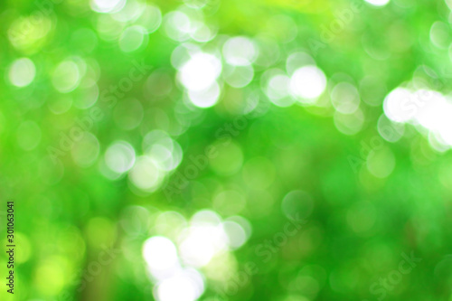  Abstract Blur green bokeh circle on nature background