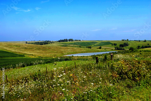 Typical Iowa countryside in late summer, with wildflowers at the edge of the road and gently rolling hills covered in fields and pastures under the wide blue sky.