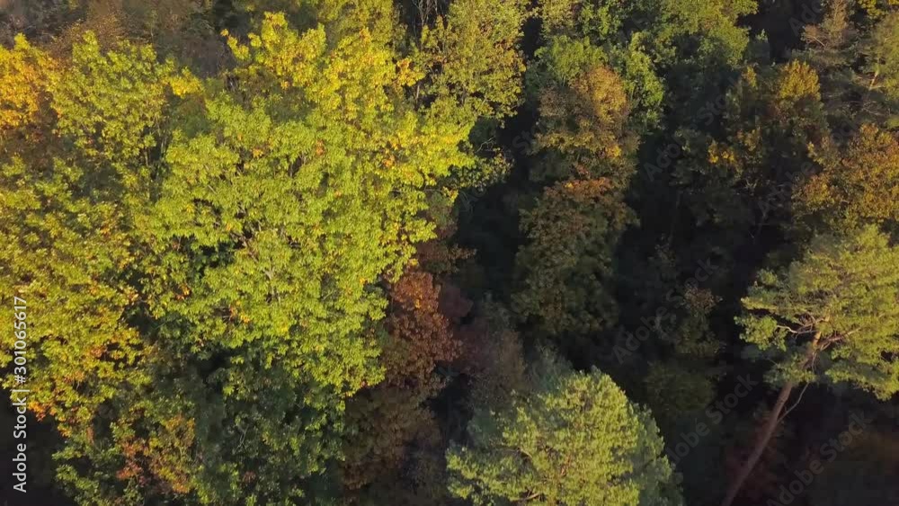 Aerial view of colorful trees during a sunny fall day with a little haze in the air