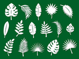 Laser cutting template of tropical leaves, jungle branches. Exotic split foliage of palm isolated on green background. Vector silhouette of elements. Set for wood carving, paper cut, stamp for die cut