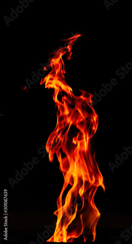 Fire flame isolated on black background. Fire soars up. © Stepanov Aleksei