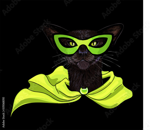 Black oriental cat in superhero mask and cloak