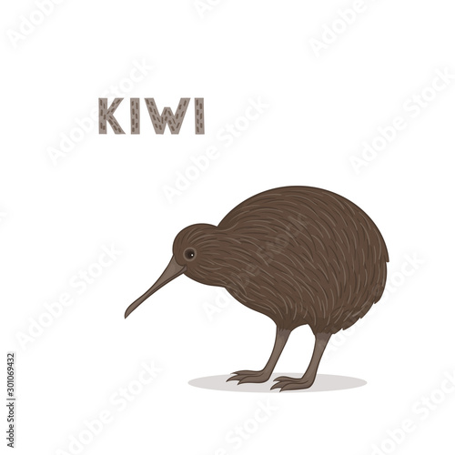 Vector illustration, a cartoon kiwi, isolated on a white background. Animal alphabet.
