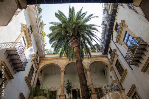 Palermo, Italy, September 19, 2019: Interior of a courtyard surrounded by facades with balconies and in the center a palm tree overlooking the blue sky photo