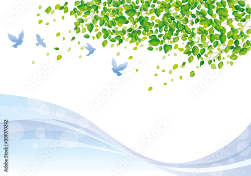 木：木　幹　枝　自然　緑　葉　新緑　新芽　初夏　夏　春　エコ　グリーン