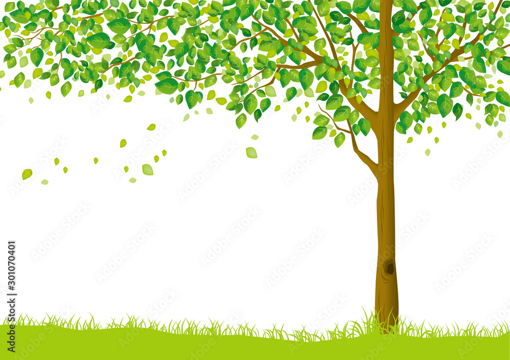 木 木 幹 枝 自然 緑 葉 新緑 新芽 初夏 夏 春 エコ グリーン Drzewa Naklejki Ecowall24 Pl