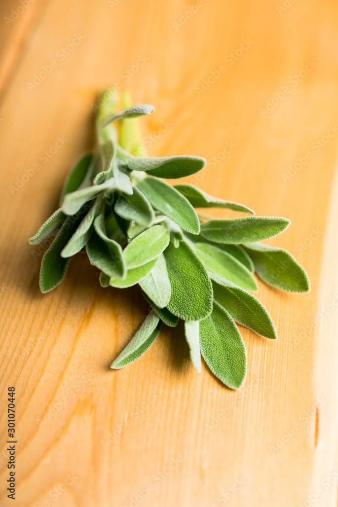 Bunch of fresh green sage leaves on the rustic background. Selective focus. Bunch of fresh green sage leaves on the rustic background. Selective focus.