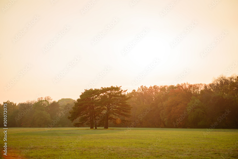 Beautiful autumn landscape with yellow trees and sun Beautiful autumn landscape with yellow trees and sun