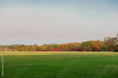 Beautiful autumn landscape with yellow trees and sun