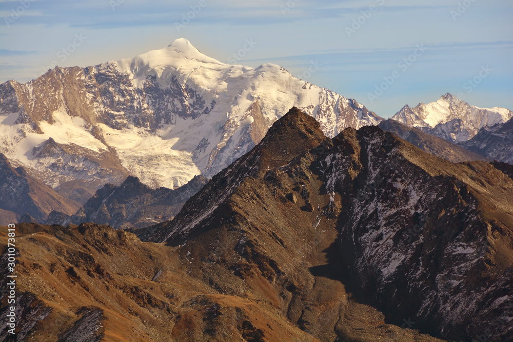 Fototapeta premium Weissmies