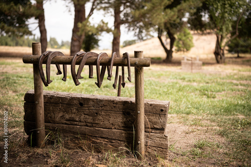 Horseshoes game