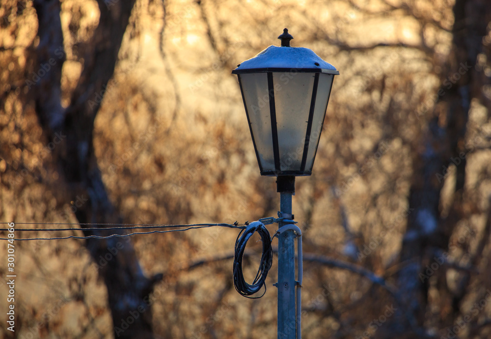 Lantern in the park in winter at dawn