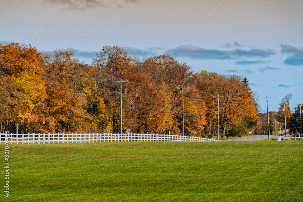 Autumn scenery with blue sky and grass field, Wisconsin