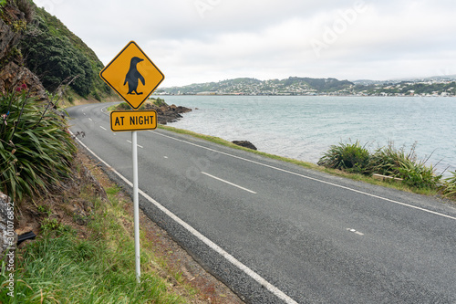 Road sign warning motorists of little blue penguins crossing the road at night time: on a coastal road near Wellington New Zealand