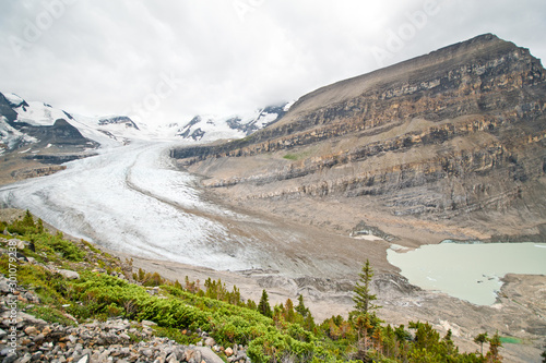 Hiking in Snowbird pass trail in Mt. robson provincial park