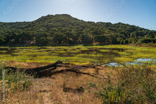 The Wetlands of Fort Ord National Monument