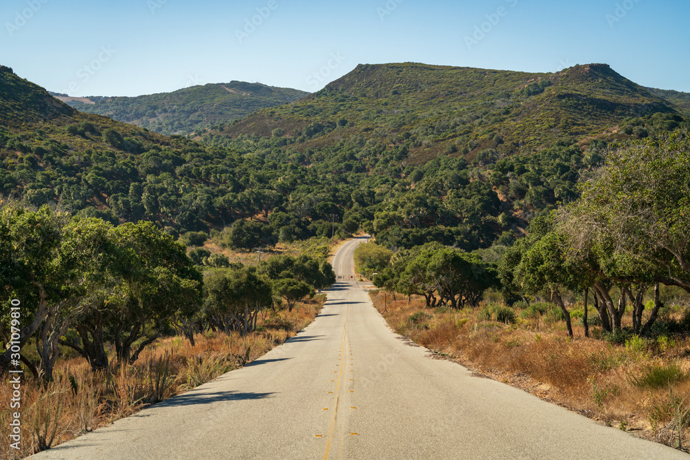 Down the Road at Fort Ord National Monument