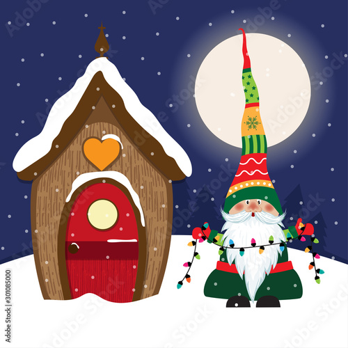 Beautiful Christmas scene with gnome