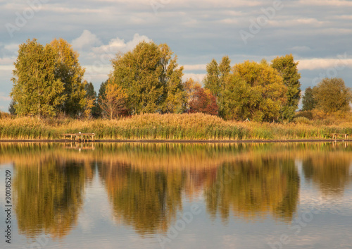 autumn landscape with trees with reflection