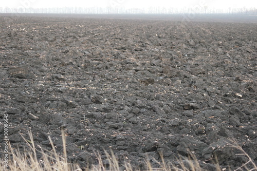 plowed field of black soil of Ukraine in autumn