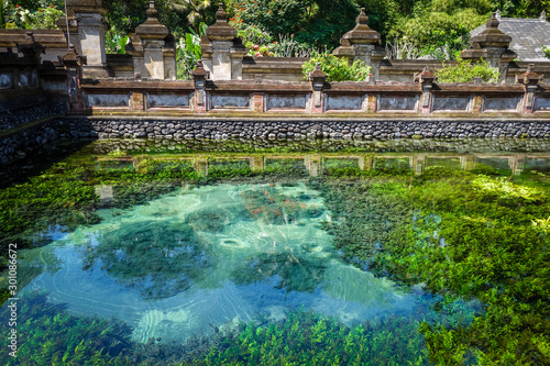 Pura Tirta Empul temple, Ubud, Bali, Indonesia