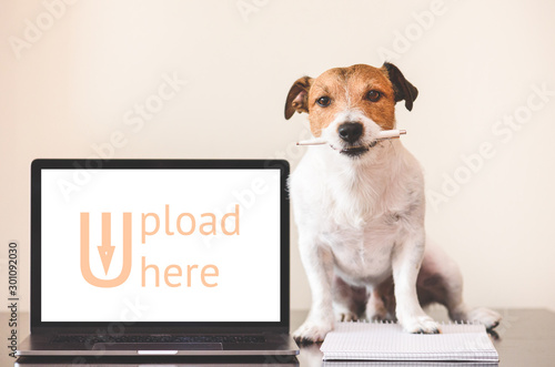 User-generated content (UGC) concept with dog doing creative work on notebook © alexei_tm