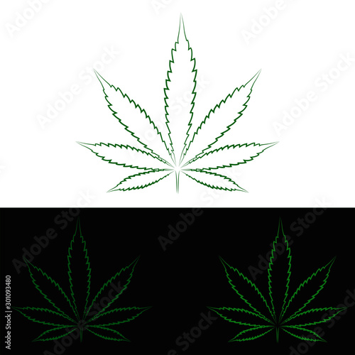 Cannabis illustration