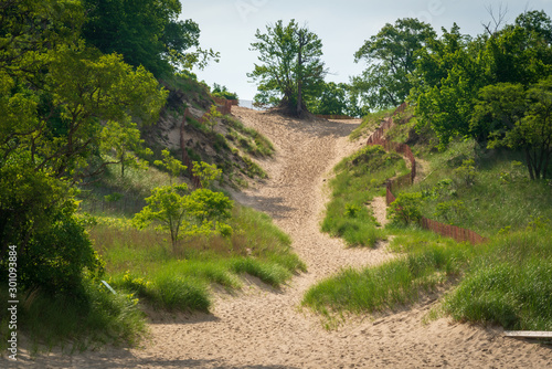 Canvas Print Trails at Indiana Dunes National Park