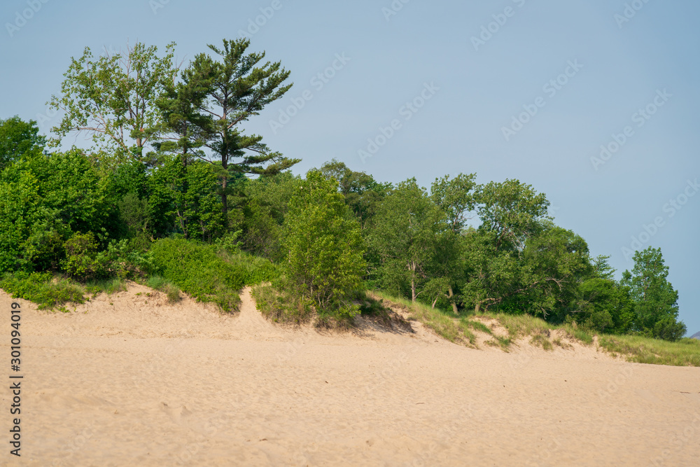 Coastline at Indiana Dunes National Park