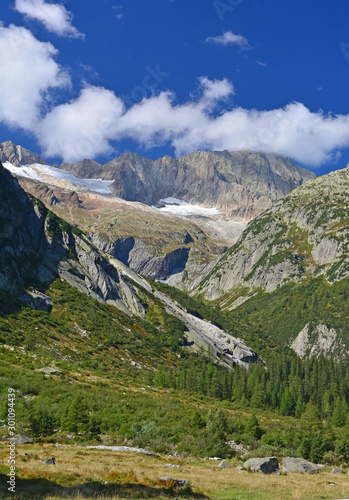 Steinlauihorn photo