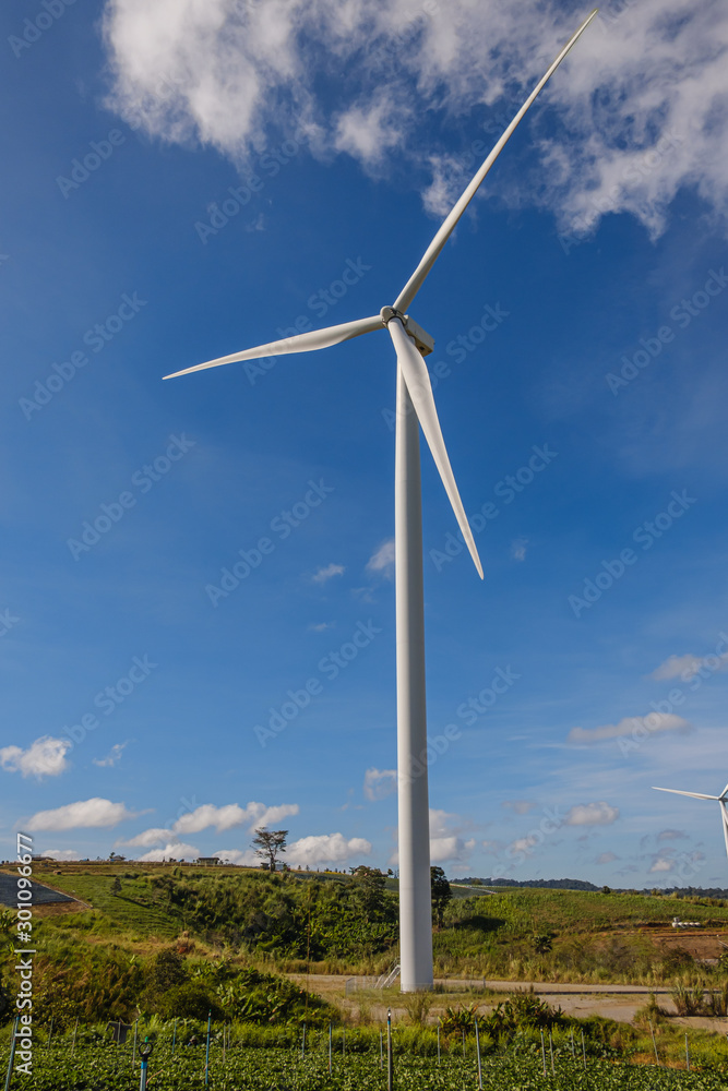 Wind turbines generating electricity with blue sky background,from wind power for environmental,Clean energy Wind turbines generating electricity with blue sky background,from wind power for environmental,Clean energy