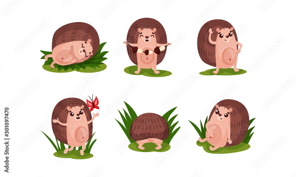 Fototapeta premium Set Of Funny Hedgehogs In Different Actions And Poses Vector Illustration