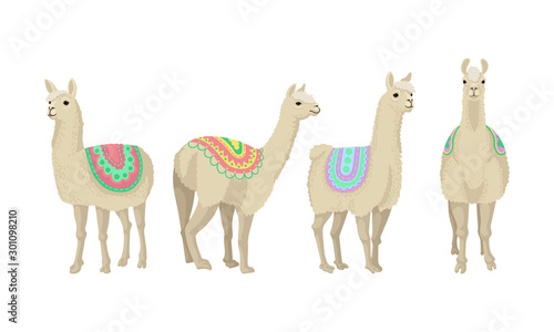 Four Llamas Animals In Colorful Blankets Vector Illustration Set