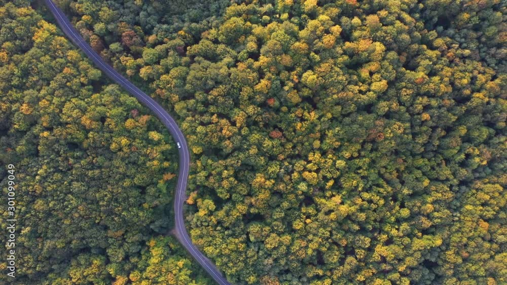 Country road at autumn Country road at autumn