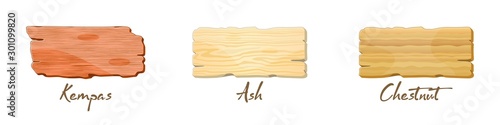 Vector set with wooden texture of kempas, ash, chestnut. Custom furniture veneer or laminate samples. Materials for construction industry. Illustration isolated on white background.