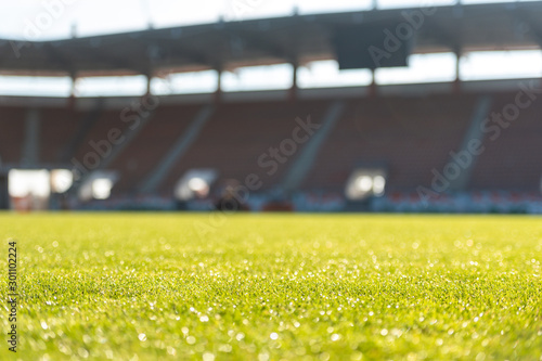 Wet grass at the football stadium © Dziurek