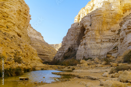 Canyon of Ein Avdat National Park, the Negev Desert