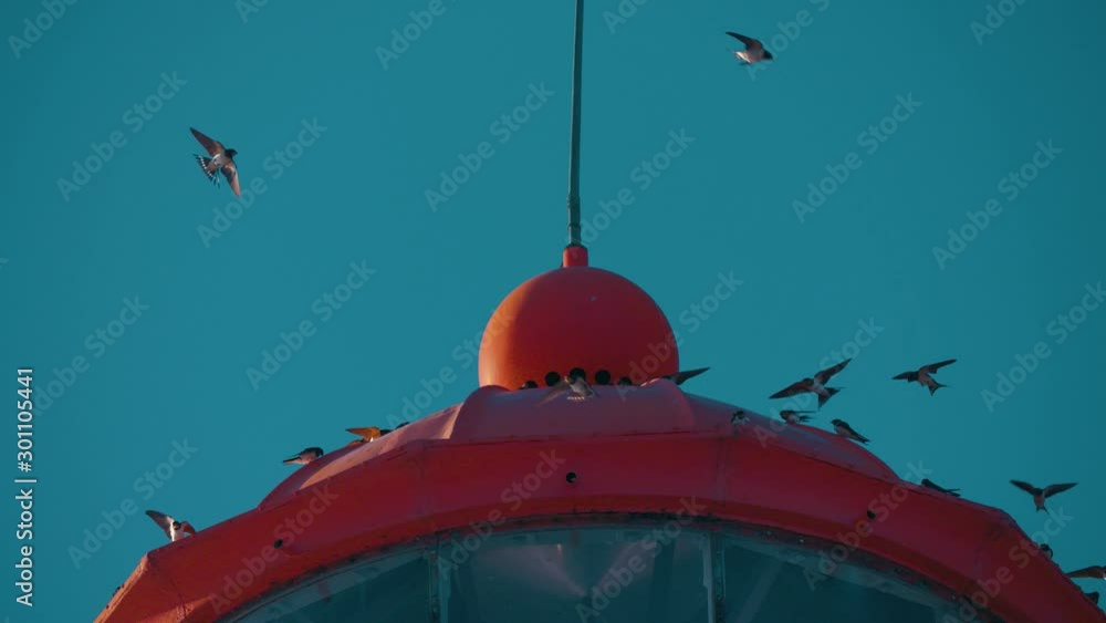 Birds circling around a lighthouse. Birds circling around a lighthouse.